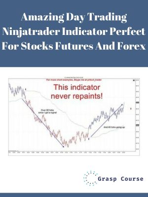 Amazing Day Trading Ninjatrader Indicator Perfect For Stocks