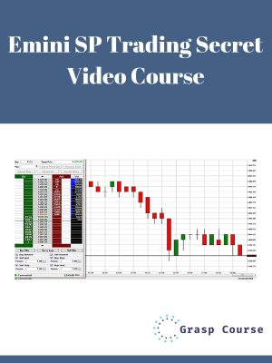 Emini SP Trading Secret Video Course