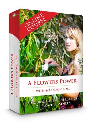 A Flower’s Power: A Course In Flower Essences