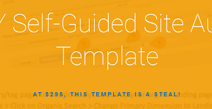 Annie Cushing – the Annielytics Site Audit Template