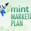 Appsumo – Mint.com Marketing Plan