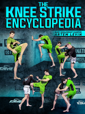 Artem Levin – The Knee Strike Encyclopedia