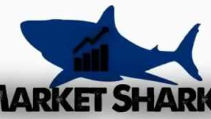 Avdo Hadziavdic – MarketSharks Forex Training