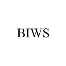 BIWS – Investment Banking Interview Guide 3.0