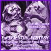 BRIAN DAVID PHILLIPS EXPERIENTIAL ECSTASY