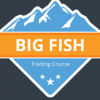 Basecamp – Big Fish Trading Strategy