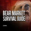 Bear Market Survival Guide – Special Rate