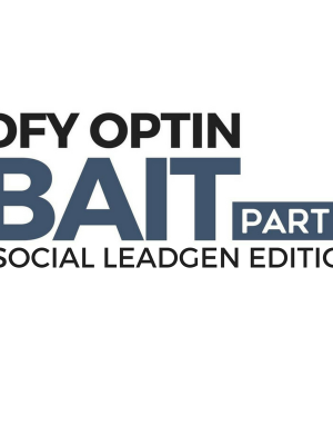 Ben Adkins – DFY Optin Bait 2 (Advanced)