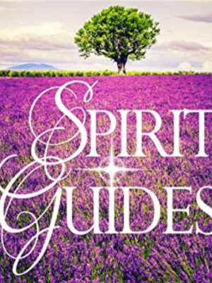 Blair Robertson – Spirit Guides Discover How To Connect …Deceased Loved Ones