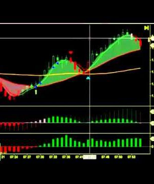 Boomerang Day Trader (Aug 2012)