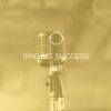 Brett Manning – Singing Success 360