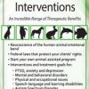 Brooke Wimer – Animal-Assisted Interventions: An Incredible Range of Therapeutic Benefits
