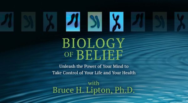 Bruce H. Lipton: Biology of Belief course