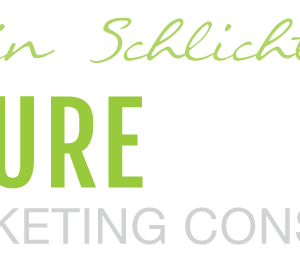 Caitlin Schlichting – 6 Figure Marketing Consultant