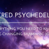 Chris Kelly – Sacred Psychedelics – Everything You Need To Know For Life-Changing Shamanic Journeys