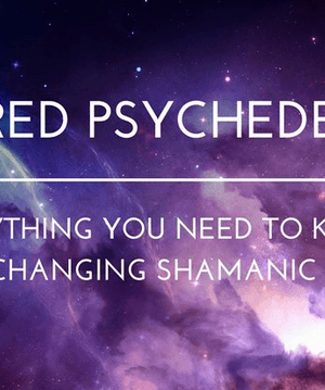 Chris Kelly – Sacred Psychedelics – Everything You Need To Know For Life-Changing Shamanic Journeys