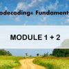 Christian Flèche – Biodecoding – Module 1 + 2 Course