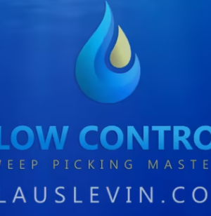 Claus Levin – FLOW CONTROL