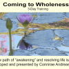 Connirae Andreas – 3 Days Wholeness Process HQ