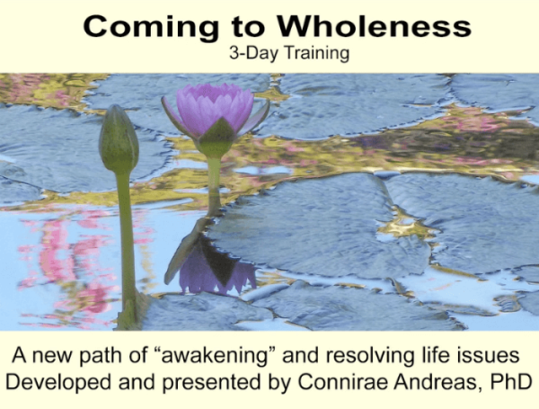 Connirae Andreas – 3 Days Wholeness Process HQ