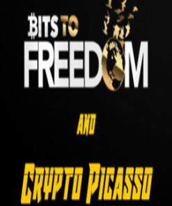 Crypto Picasso Bits to Freedom Video Course