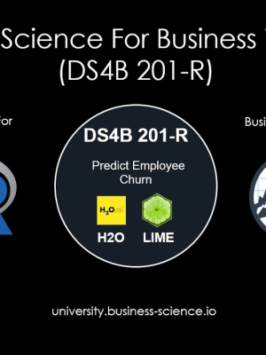 DS4B 201-R – Data Science For Business With R