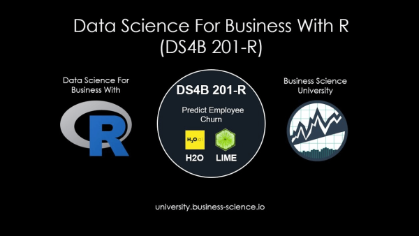 DS4B 201-R – Data Science For Business With R