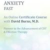 David Burns – Treat Anxiety Fast