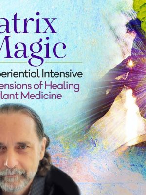 David Crow – Matric of Magic – 6 – Month Experiential Intensive