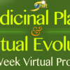 David Crow – Medicinal Plants & Spiritual Evolution 2.0