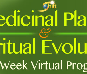 David Crow – Medicinal plants & Spiritual Evolution