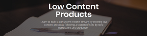 David Ford – Low Content Product Course