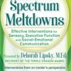 Deborah Lipsky – Autism Spectrum Meltdowns