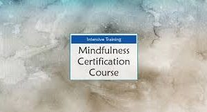 Debra Alvis – 2-Day Intensive Training – Mindfulness Certification Course