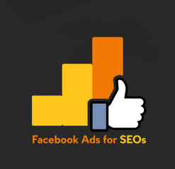 Dino Gomez – FB Ads for SEO