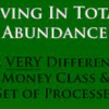 Dr. Dain Heer – Living in Total Abundance Class & Clearings