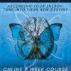 Dr. Joedispenza – Online Intensive & Progressive Workshops