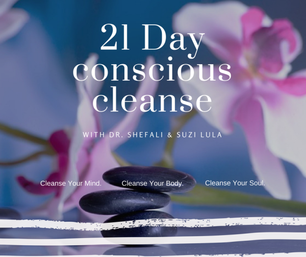 Dr. Shefali & Suzi Lula – The 21 Day Conscious Cleanse