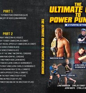 Dynamic Striking – The Ultimate Guide To Power Punching