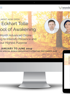 Eckhart Tolle – School of Awakening 2019