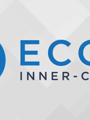 Ecom Inner Circle Program