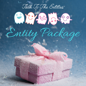 Entity Package – The 3 C’s