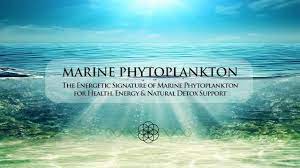 Eric Thompson – Marine Phytoplankton