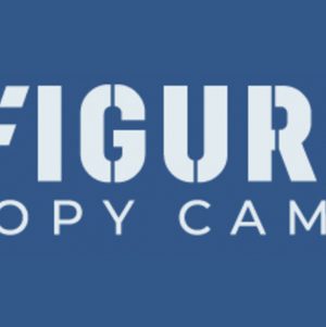 Evaldo Albuquerque (Agora) – 7 Figure Copy Camp