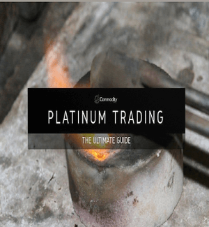 FOREX Trading Masterminds – The Platinum Trading Group Live Webinars