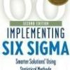 Forrest W Breyfogle III – Implementing Six Sigma