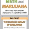 Hayden Center – The Clinical Impact of Marijuana