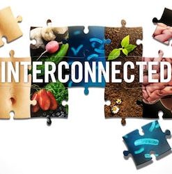 Heal From Within – Interconnected