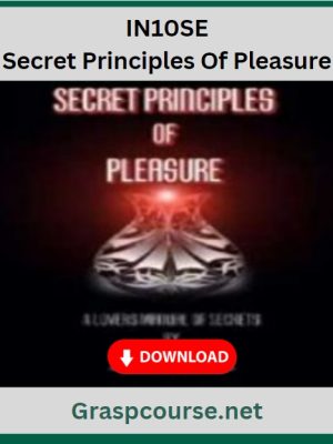 IN10SE – Secret Principles Of Pleasure