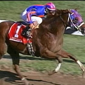In-Play Horse Racing Trading